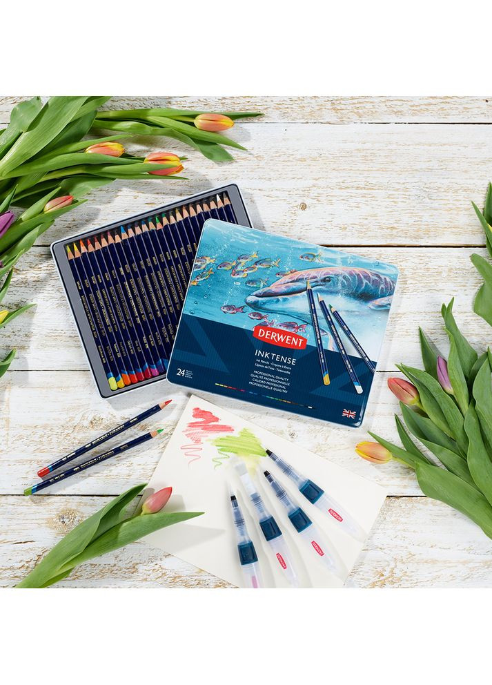 Чернильные карандаши Inktense 24цв Derwent (362581609)
