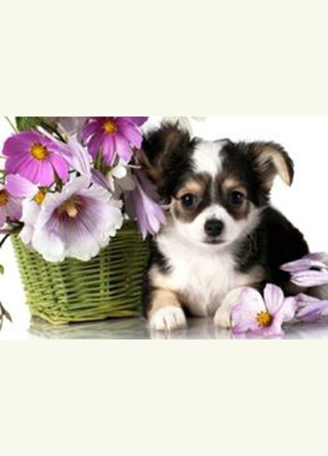 Алмазна мозаїка зі стразами на підрамнику Пробудження 20*30 см Чарівний діамант (317258821)