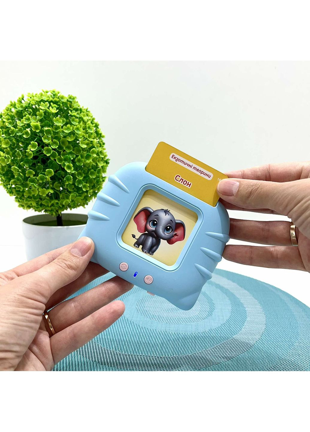 Картридер Знань 112 карток 18 тем українська мова вірші пісеньки казки Блакитний (84499) WToys (360545775)