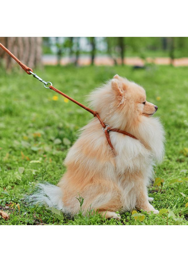 Шлея с поводком для собак кожаная Soft c QR паспортом, круглая, Д 6 мм, А 26-46 см, В 30-50 см WAUDOG (364100298)