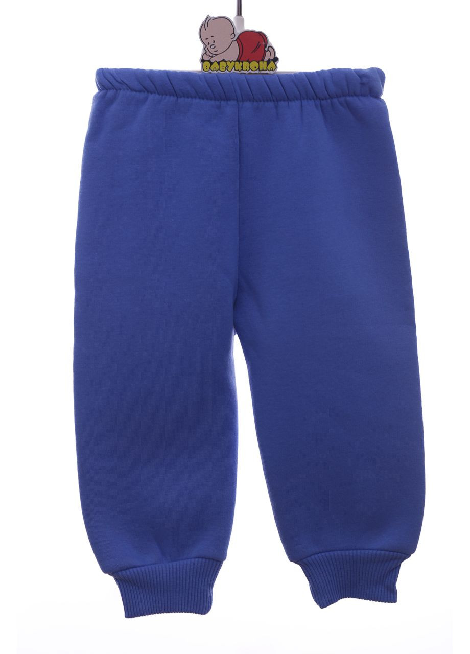 Голубой демисезонный костюм на флисе для мальчика трикотажный farmer голубой 74 см (41711) Enzo Minix