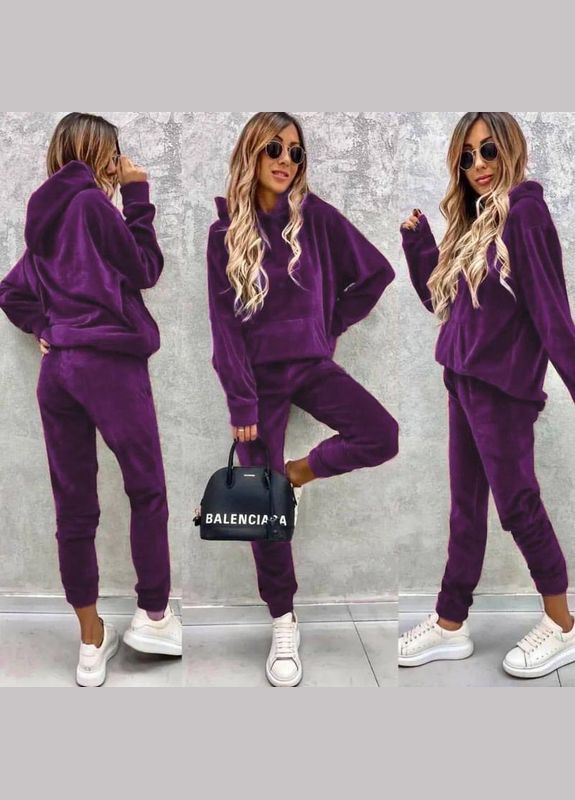 Спортивный костюм велюровый теплый НА ФЛИСЕ Nositi (305569882)