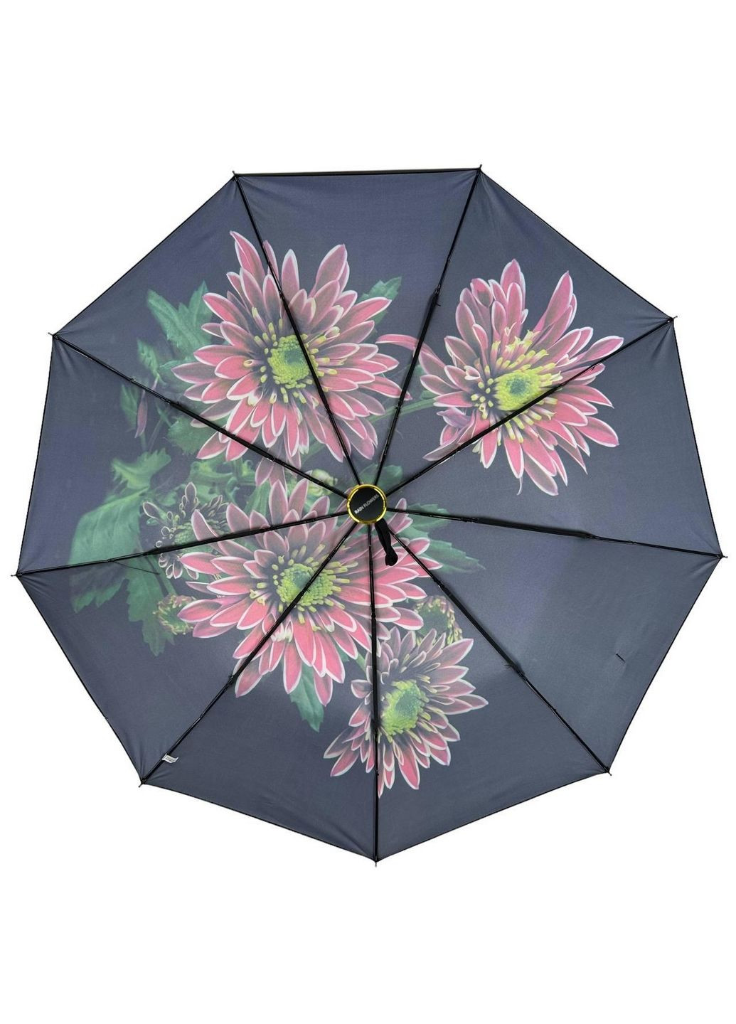 Зонт автомат женский Rain (279318268)