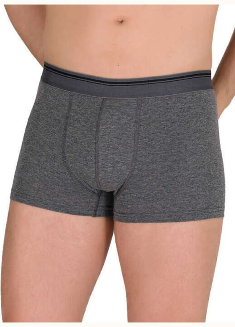 Труси боксери чоловічі 1097 Туреччина, комплект 3 шт. Berrak Боксери (316472261)