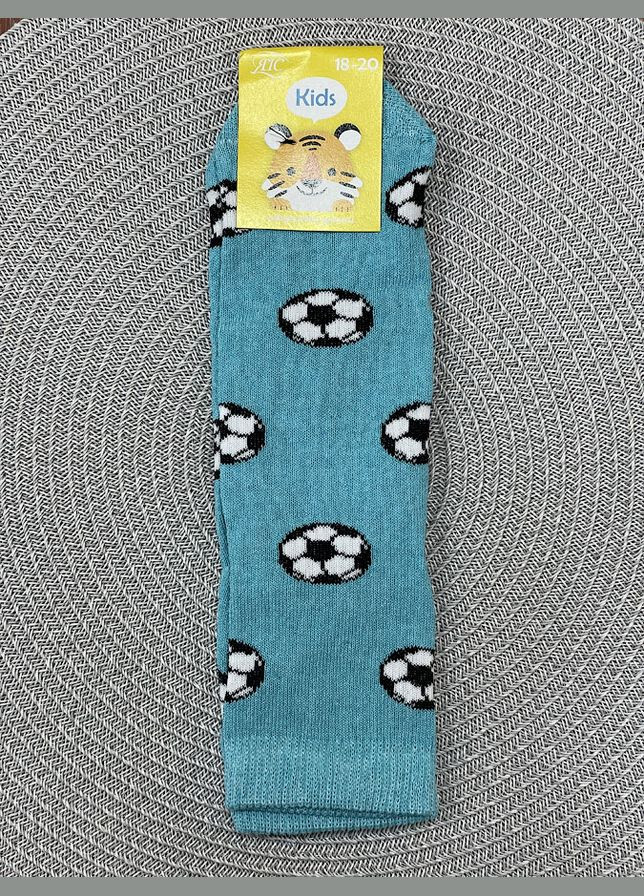 Блакитні шкарпетки дитячі з малюнком демісезон (322388680)
