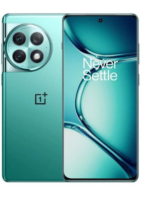 Смартфон 12/256Gb OnePlus Ace 2 Pro (364675076)