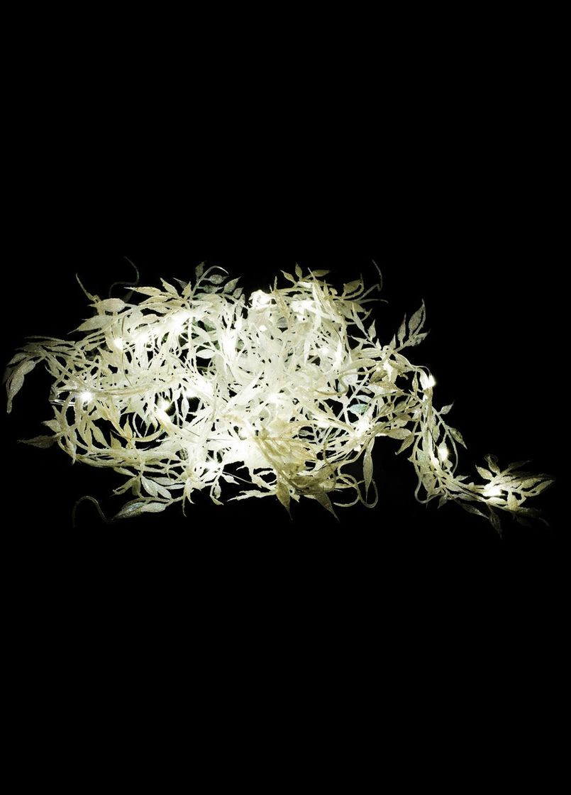 Гирлянда "Пестрая ветка", " ", 150 см, белая Luca Lighting (329407808)