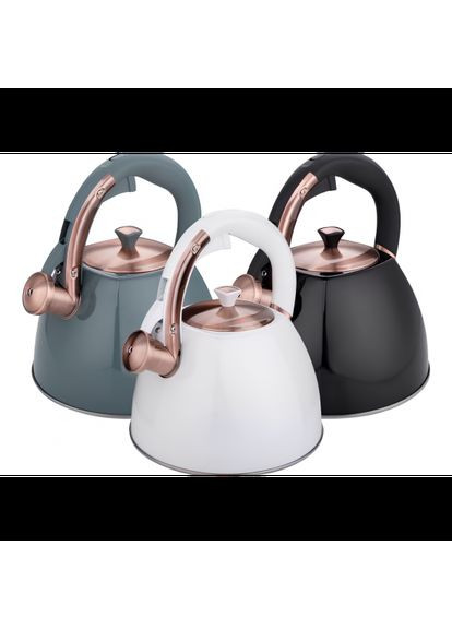 Чайник із нержавіючої сталі EB-8863 зі свистком 3 л чорний Edenberg (369766982)