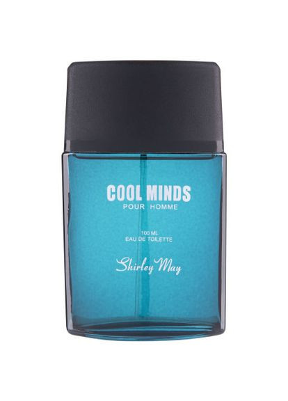 Мужская туалетная вода Cool Minds 100 мл Shirley May (361340997)