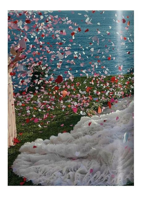 Книга Mario Testino. I Love You (9783836592017) Taschen (364656012)