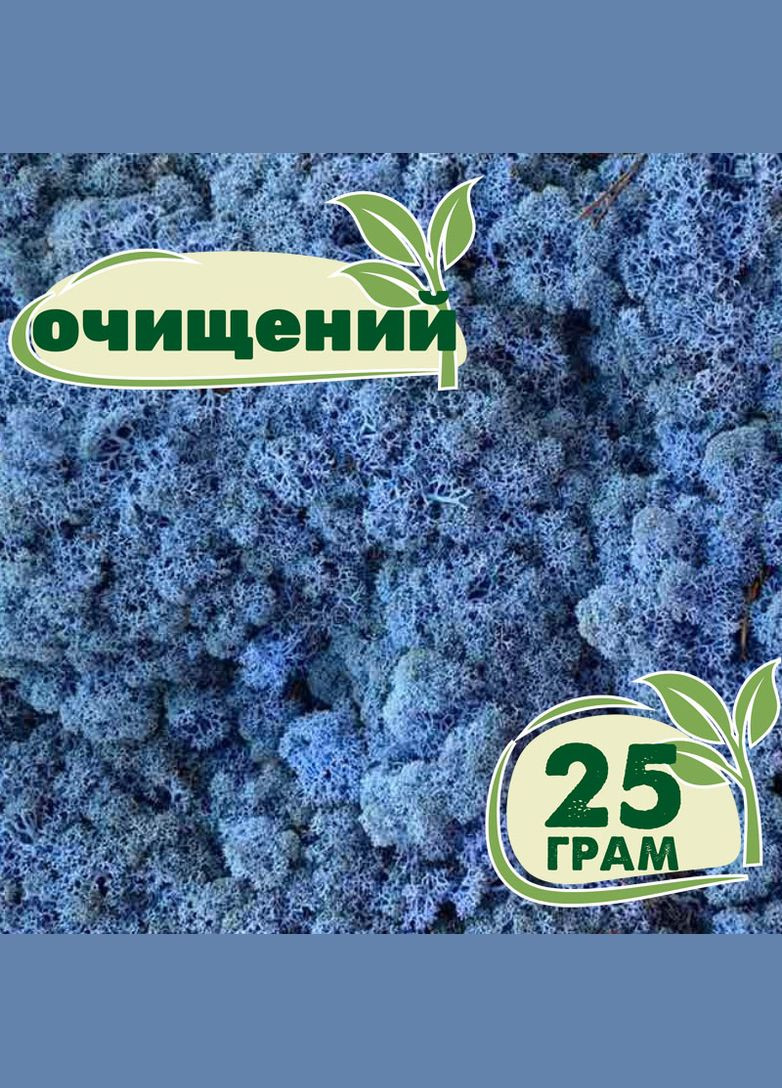 Очищений стабілізований мох ягель Лавандовий 25 грам Nordic moss (276401218)