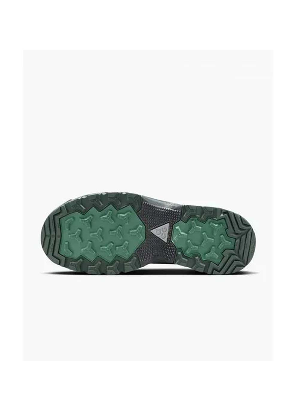 Чоловічі Черевики ACG ZOOM GAIADOME GORE-TEX Зелений Nike (367593015)