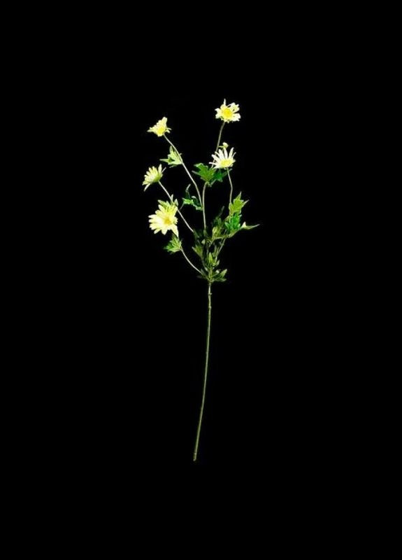 Квіти Seta Decor (270367429)