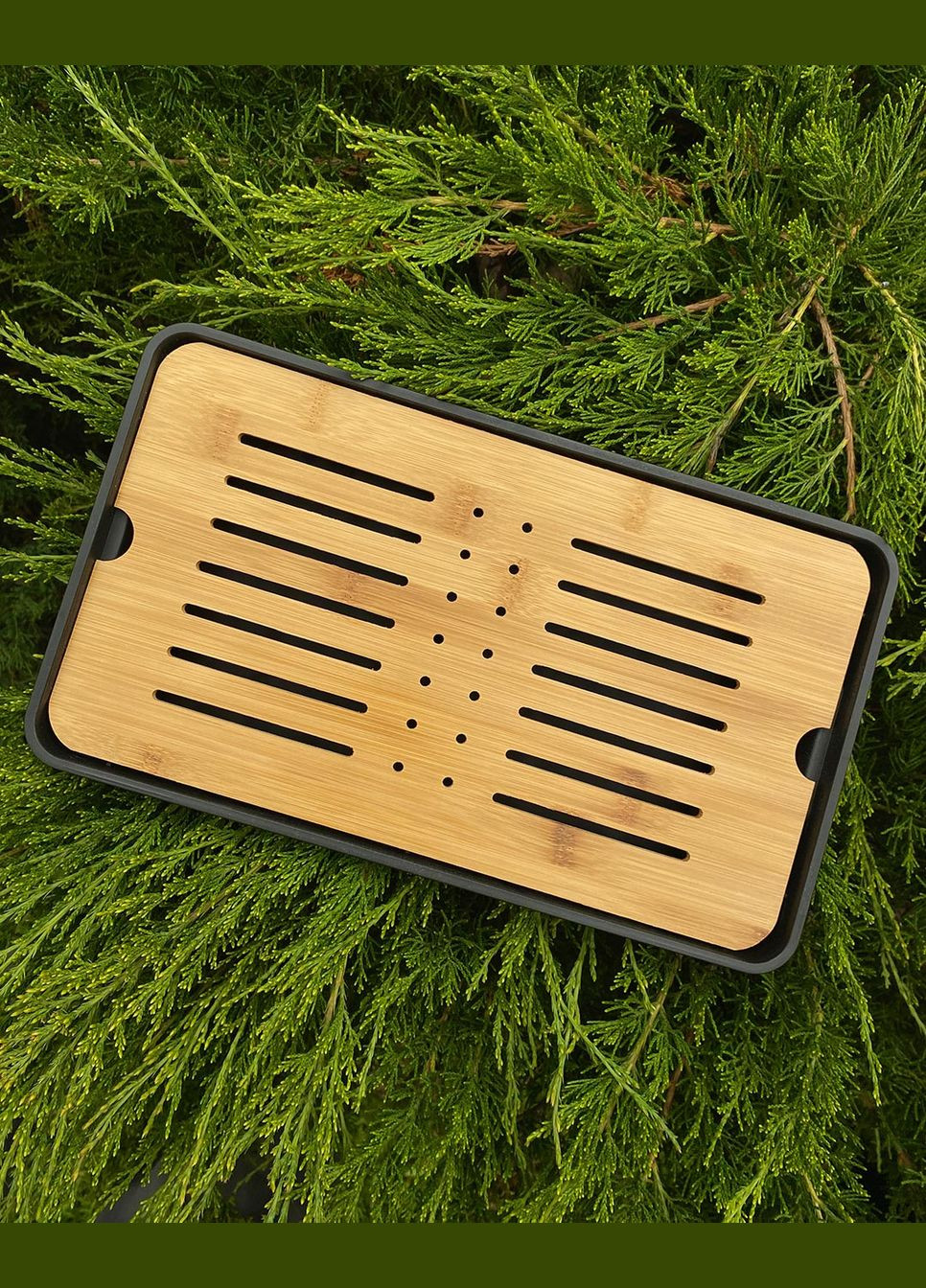 Чабань "Бамбук" Tea Dragon (341737914)