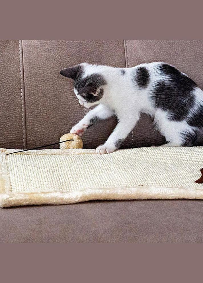 Підлогова кігтеточка-килимок для кішок із сизалю PA 5616 (Ферпласт Пій 5616) Ferplast (297511531)