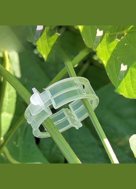 Кліпси для підв'язки рослин тримач томатів 25 мм 100шт (2104618523) No Brand (329694883)