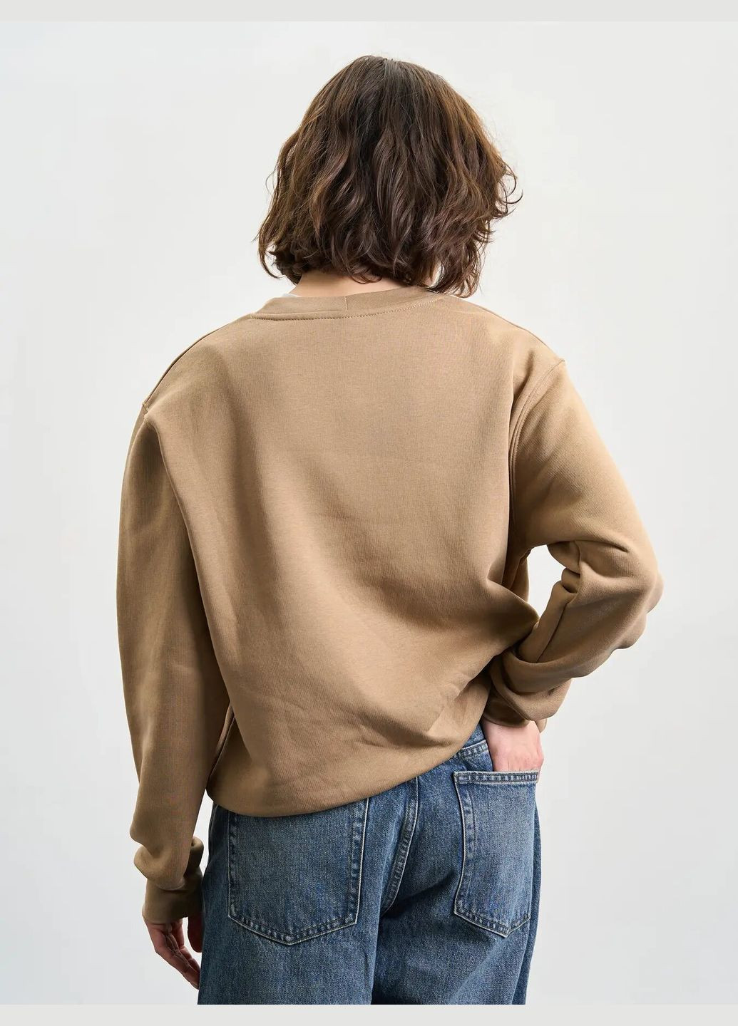 Коричневий світшот жіночий утеплений Роза однотонний без декору (325779717)