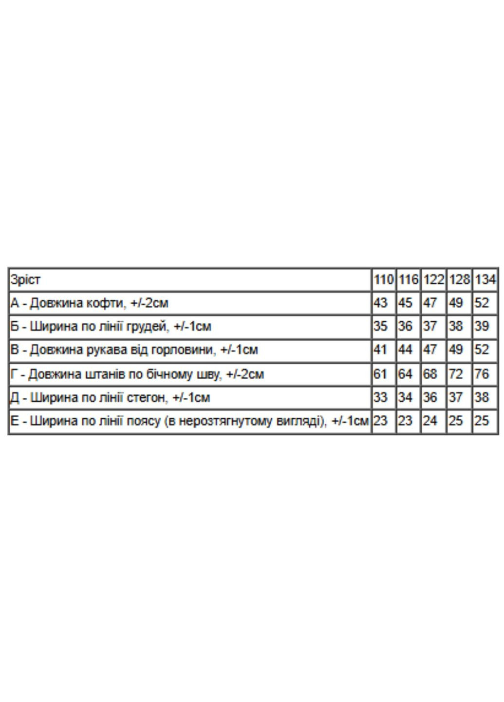 Теплий костюм для хлопчика: худі з написом та однотонні штани (p-15308) Носи своє (373069537)