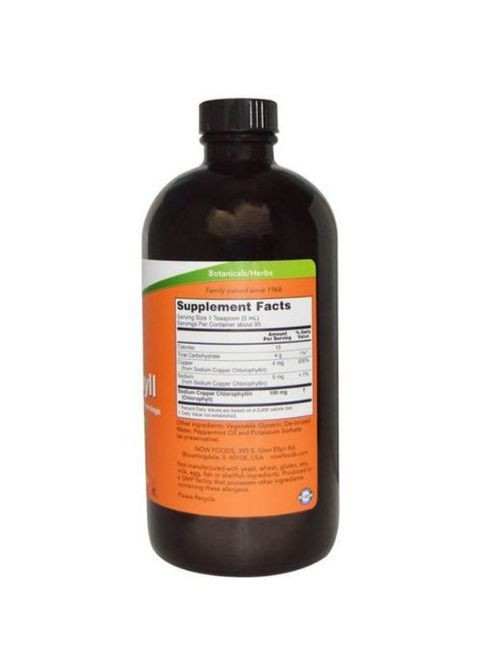 Liquid Chlorophyll 473 ml Natural Mint Flavor Now Foods (362419255)