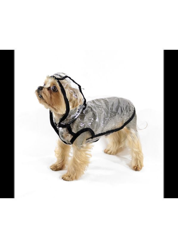 Ветровка Дождик для породы Йорк Прозрачная №1, 28 х 40 см (6820479483016) Lucky Pet (302315296)