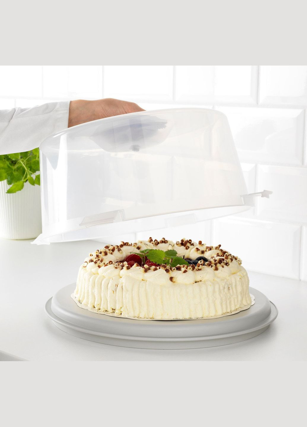 Контейнер для торта, прозорий,, ІКЕА,, IKEA (286379828)