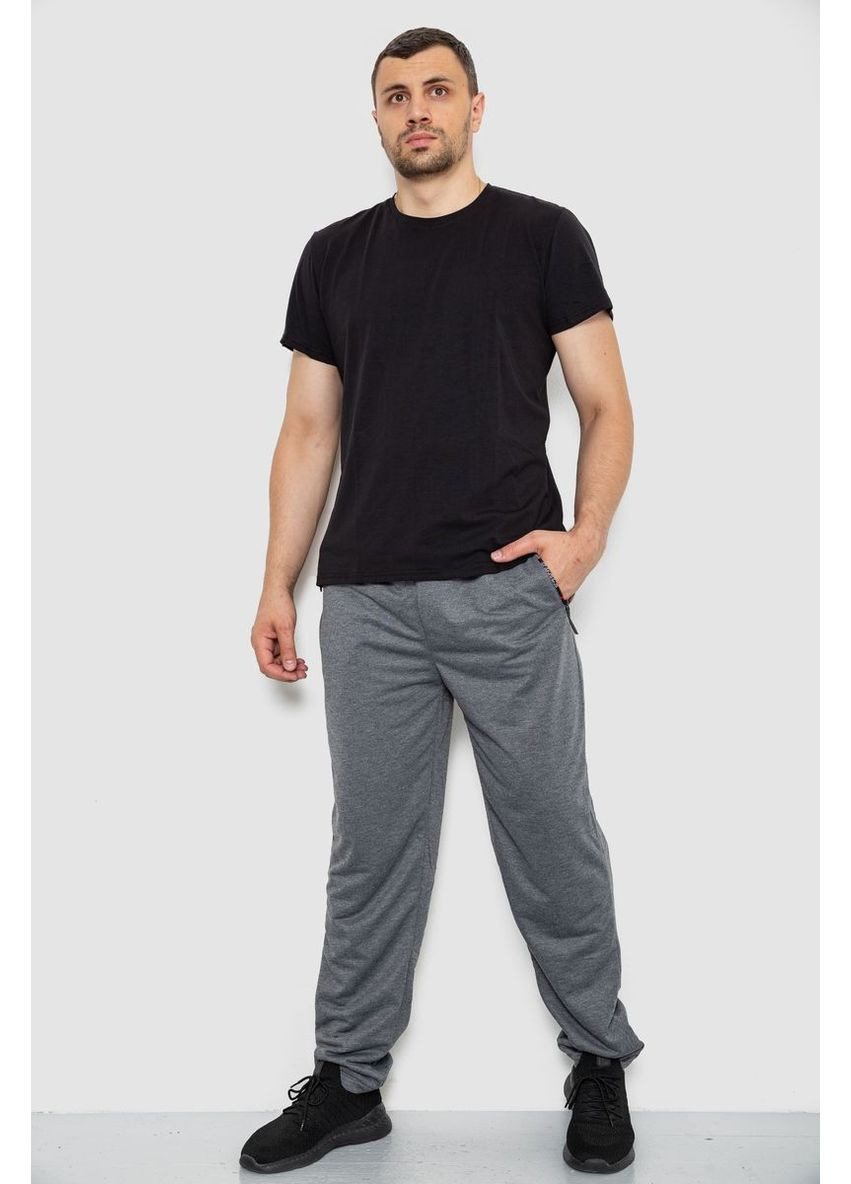 Серые спортивные демисезонные брюки Ager