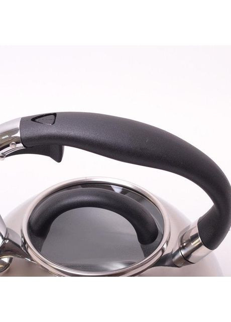 Чайник зі свистком 2.8 л. 0674 Kamille (356131330)