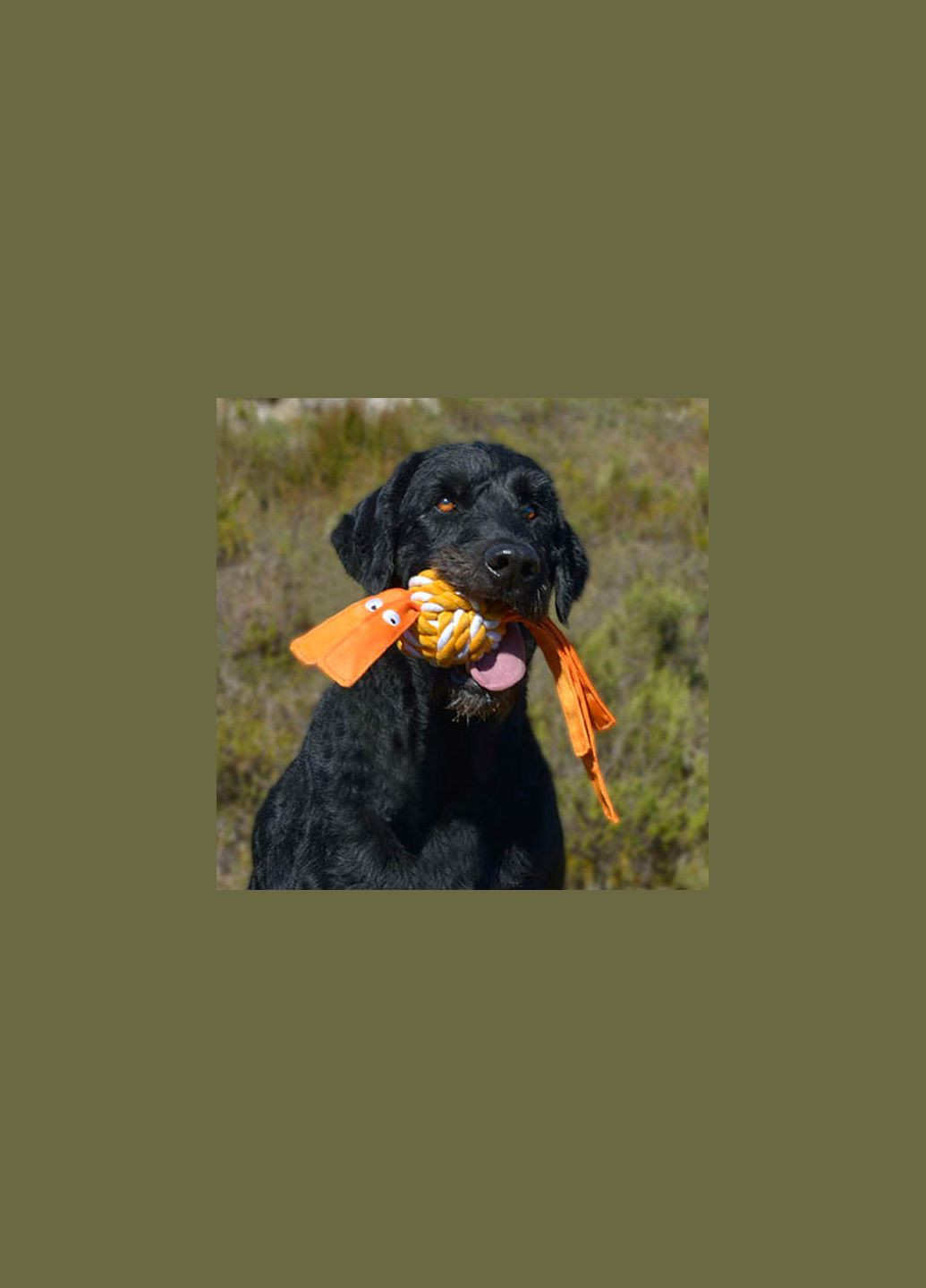 Игрушка для собак Cowboyz оранжевая S 4289703 ROGZ (269341819)