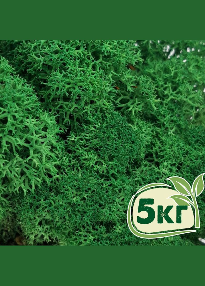 Стабілізований мох ягель Зелений трав'яний темний 5 кг Nordic moss (276401158)