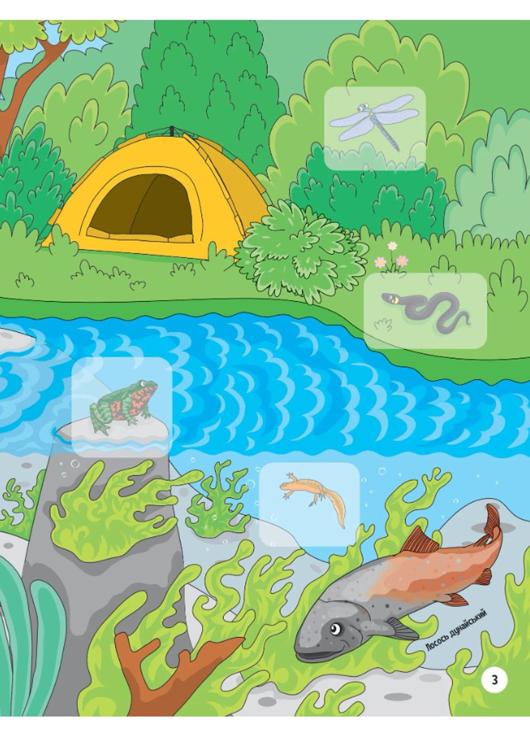 Книга Тваринки під водою + 32 наліпки Ольга Шевченко Vivat (297847434)