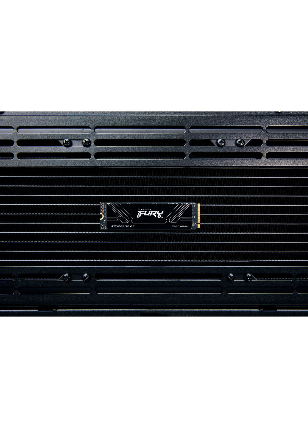 Накопичувач SSD M.2 8TB PCIe 5.0 FURY Renegade Kingston (370622927)