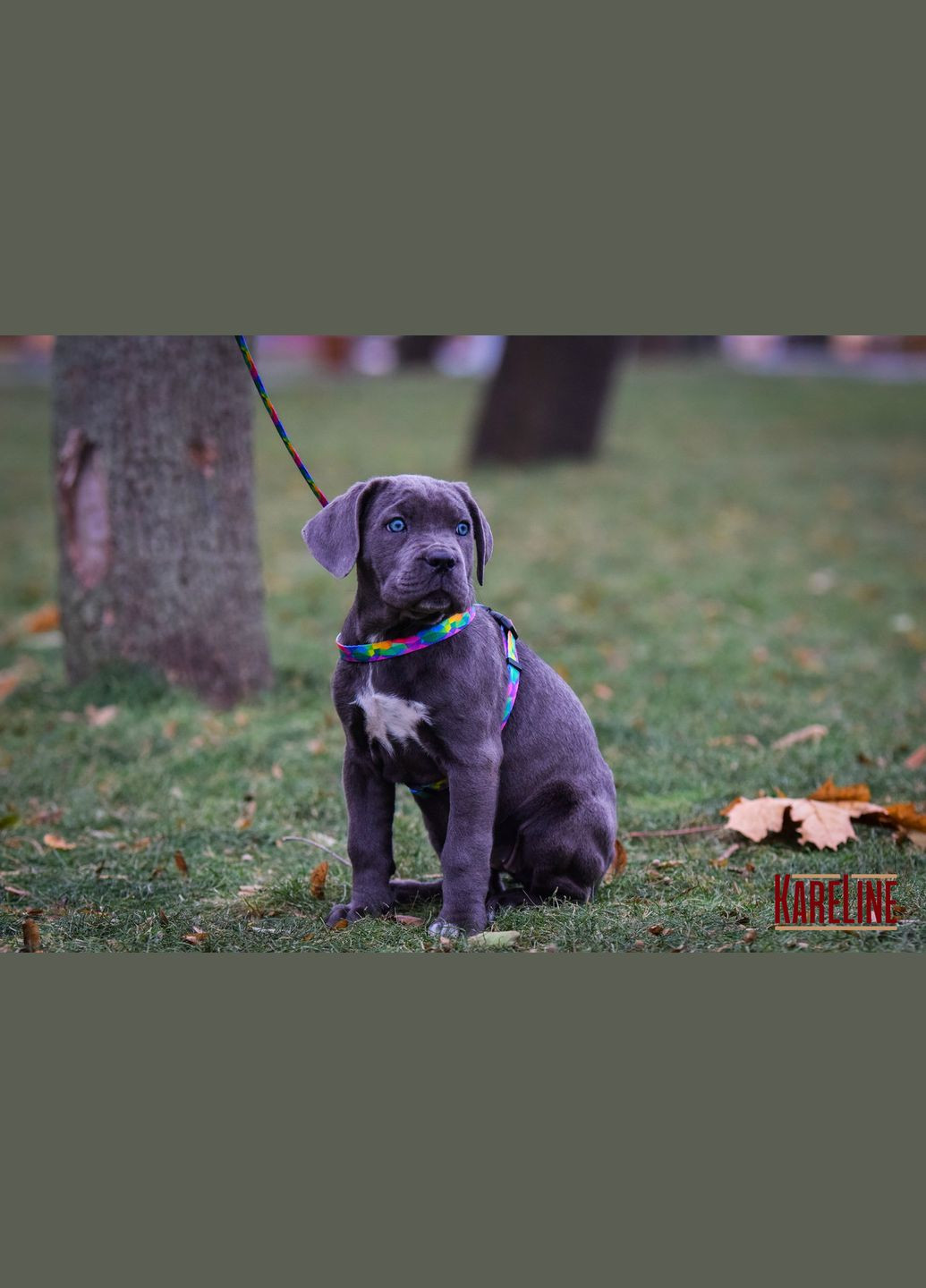 Комплект из нейлона с узором "KEEPER" 10 мм А: 300 мм, В: 330 мм 1800 мм Kareline (339075577)