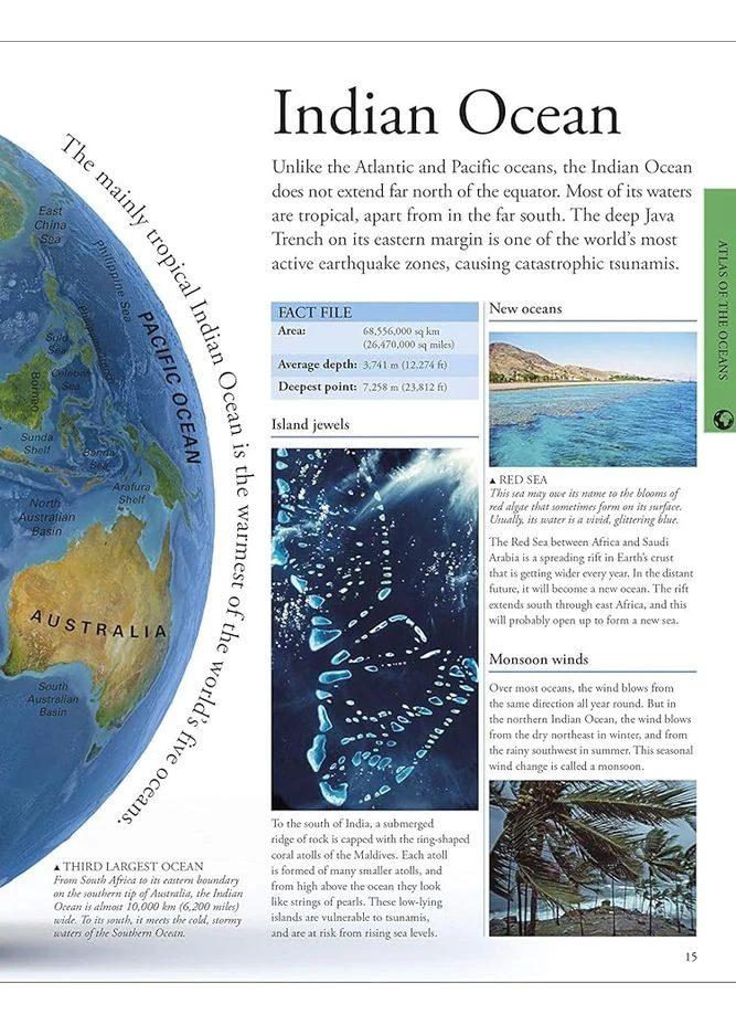 Ocean. A Children's Encyclopedia DK (370130801)