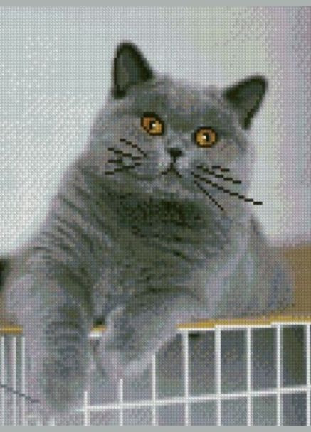 Алмазна картина Цікавий котик HX177 shop (4823113818241) Strateg (316011065)