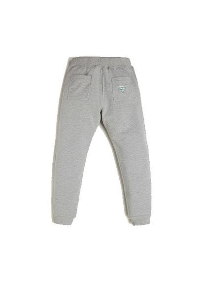 Серые спортивные демисезонные брюки Guess