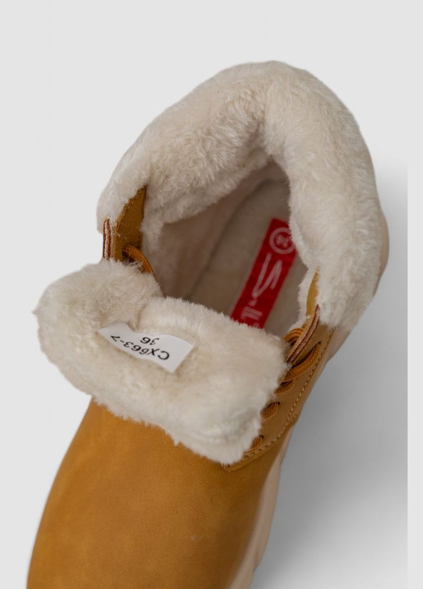 Осенние ботинки женские зимние на меху Ager без декора