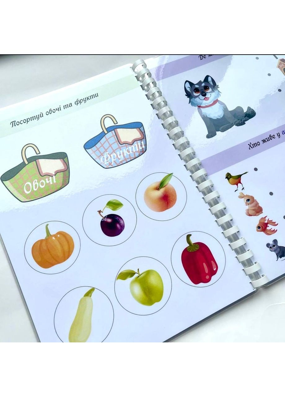 Тетрадь пиши-стирай развивающая для малышей No Brand (365762436)