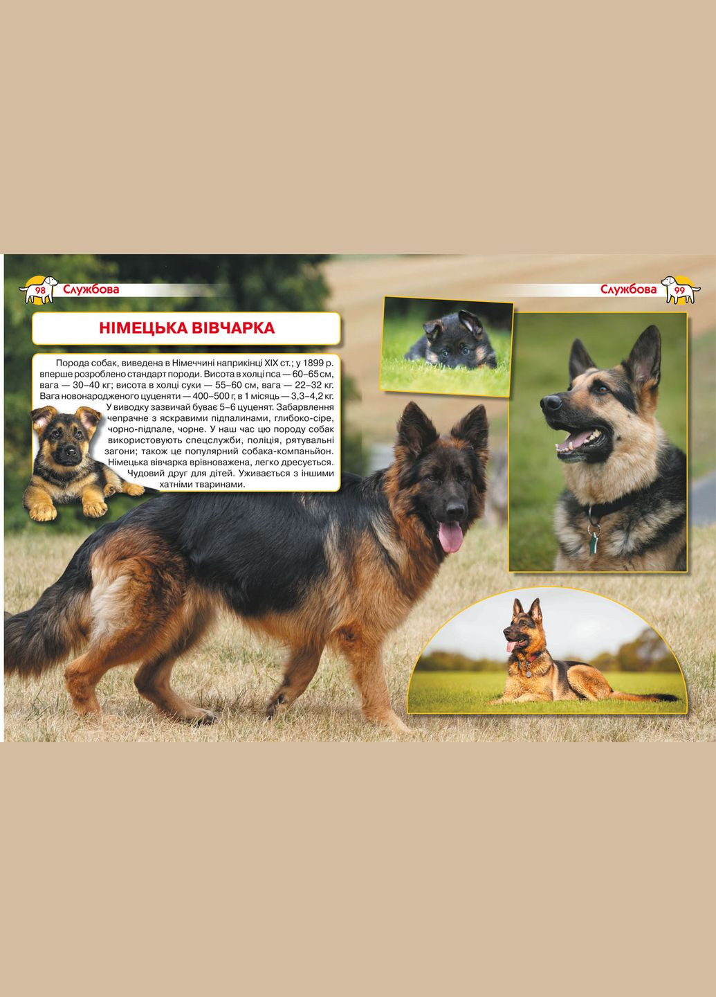 Энциклопедия. Собаки Кристал Бук (341678276)