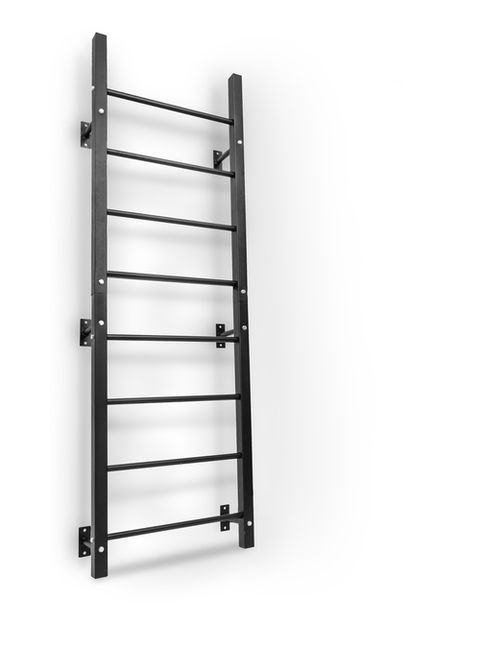 Силова станція зі шведською стінкою HS-1008K Hop-Sport (365718022)