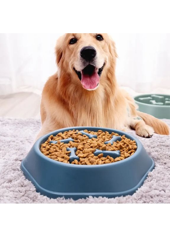 Миска-лабіринт для повільного годування пластикова No Brand (362571956)