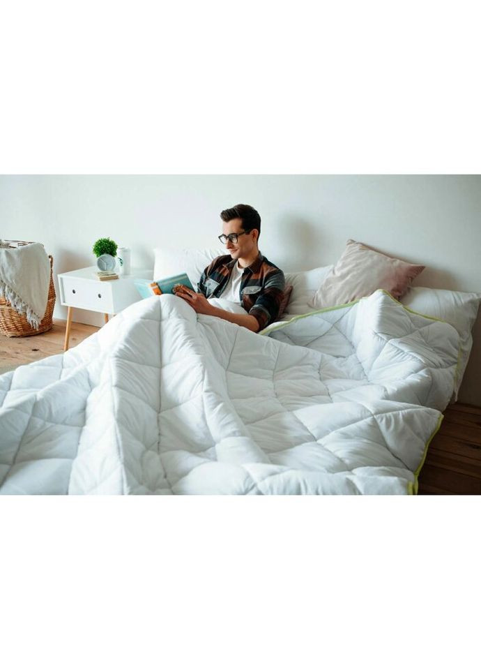 Ковдра Eco Line №638 Зимова з евкаліптом 172х205 (2200000857989) Mirson (314715337)