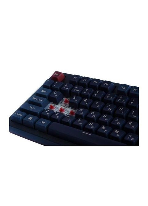 Клавиатура (MK87DB) Montech Darkness MK87DB TKL DB USB UA Gray (356149429)