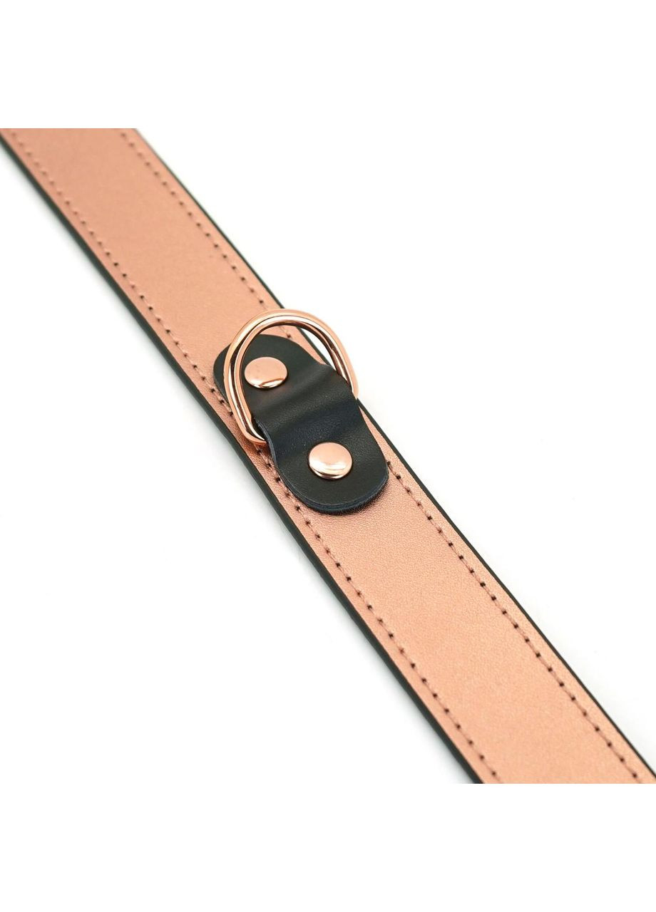 Нашийник із затискачами для сосків Liebe Seele Rose Gold Memory with Nipple Clamps Collar (303909759)