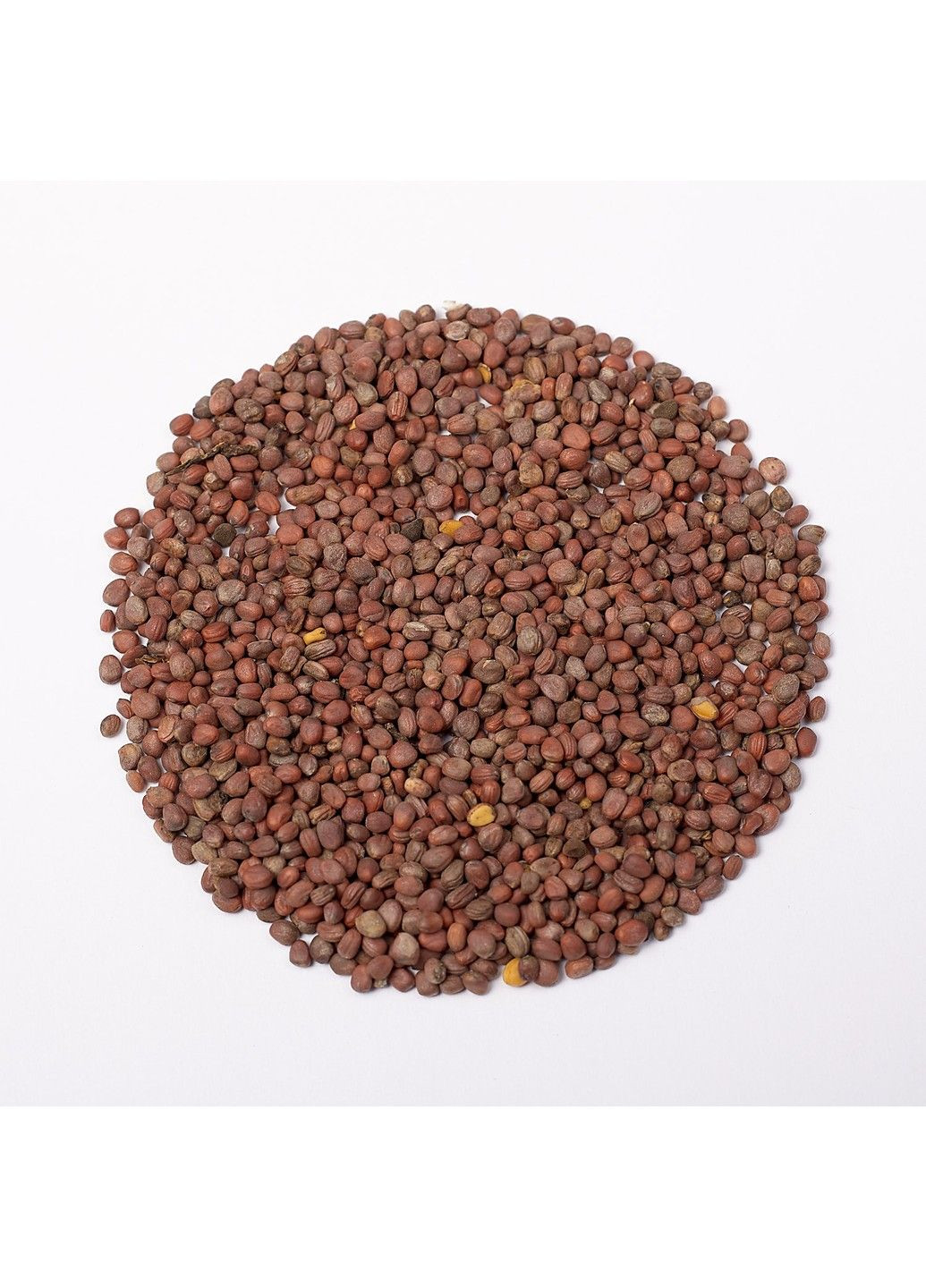 Семена микрозелени Green Chief Редька Толстяк Зелений Шеф (298051371)