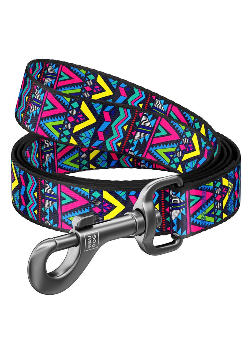 Поводок для собак нейлоновый Nylon, рисунок "Инди", Ш 25 мм, Дл 122 см WAUDOG (279565506)