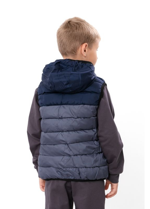 Демісезонна дитяча жилетка (унісекс) з капюшоном (p-18194) Носи своє (363849440)