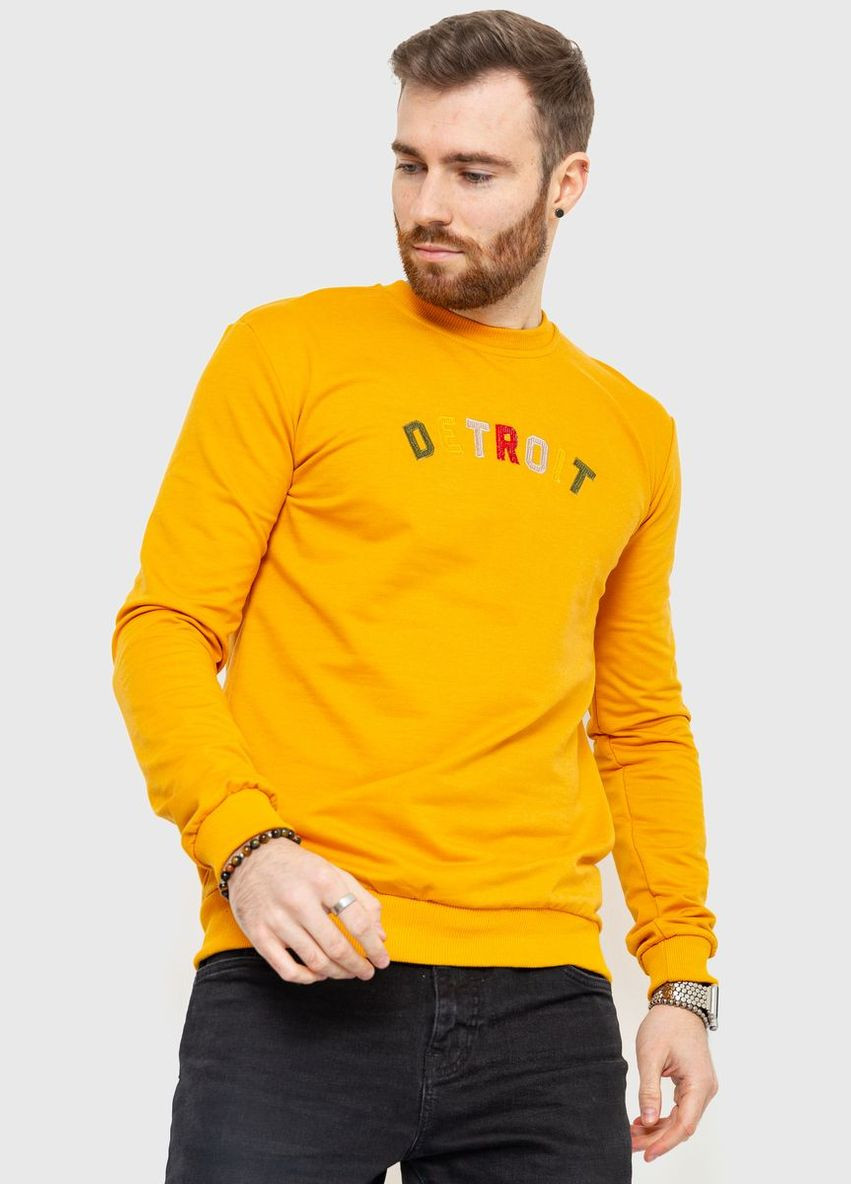 Свитшот мужской демисезонный,, 208R0204 Ager (315789165)