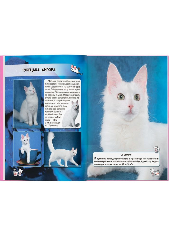 Книги Світ навколо нас. Кішки (978-966-936-750-1) Кристал Бук (347175490)