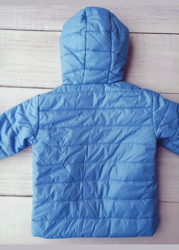 Блакитна демісезонна куртка демісезонна водовідштовхувальна та вітрозахисна для дівчинки 295877 блакитний Lupilu