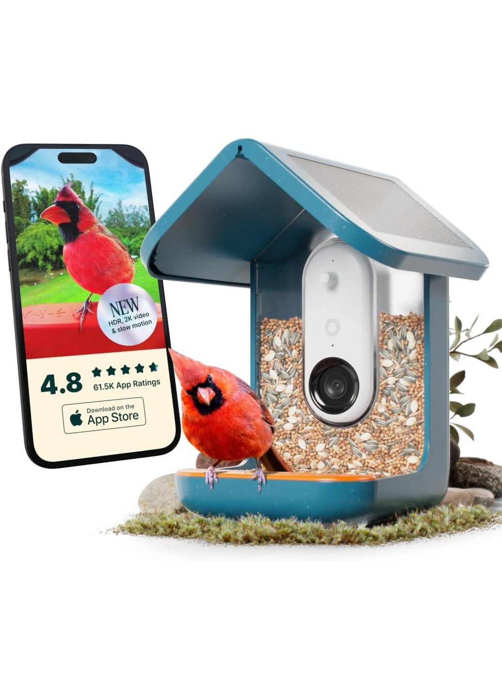 Умная кормушка для птиц Buddy PRO Solar с камерой – идентификация видов птиц с ИИ, 5 Мп, фото, 2K HD видео Bird (361055957)
